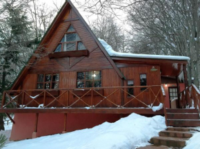 Отель Cabañas Bosque Del Faldeo, Ушуайя